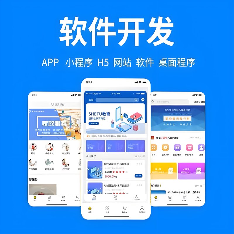 软件定制开发：构建未来业务的引擎