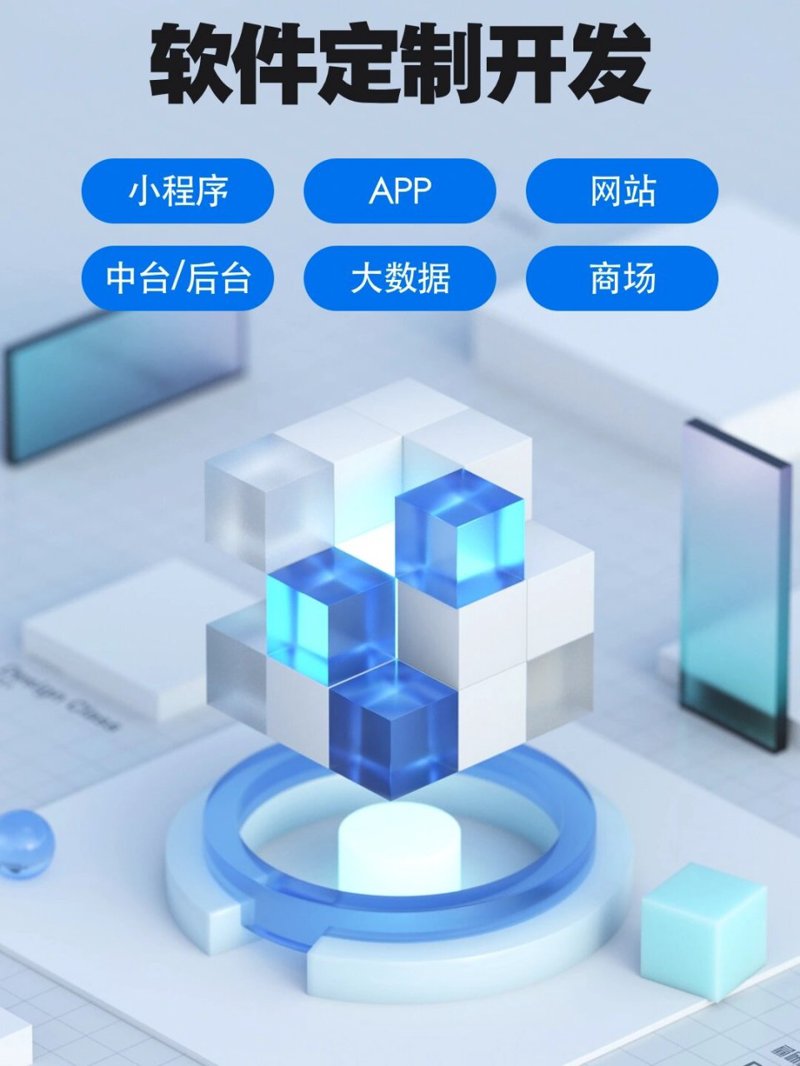 软件定制开发：精准匹配企业需求的艺术